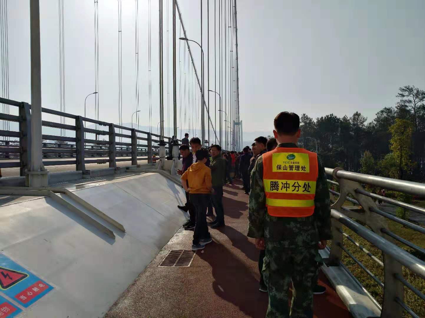 15530626411849.jpg image006.jpg